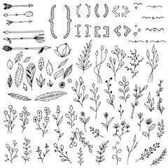 Set of plants, branches, floral elements, arrows, braces and parentheses. Vector illustrations.