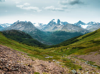 landscape in the summer