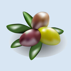 Gradient olives in vector