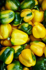 Close-up of fruits of yellow-green bell pepper. Vertical aspect ratio.