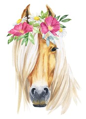 Horse head with flower wreath watercolor illustration on white background. Animal watercolour. © Ann Lou