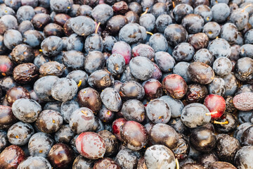 Detail of a pile of black olives collected to squeeze their oil.