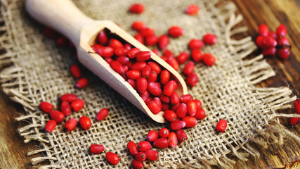 Selective focus. Macro. Barberry berries in a wooden spatula.