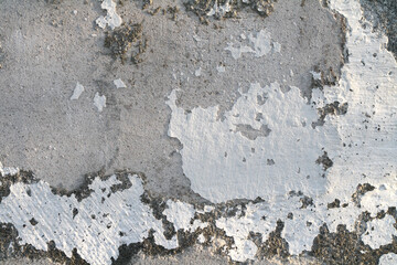 Wood surface pattern for background. Real isolated wooden texture. 