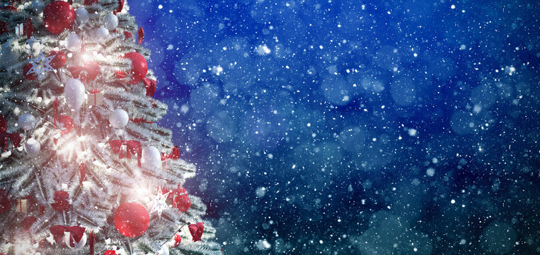 Christmas tree, merry Christmas and happy festivities concept