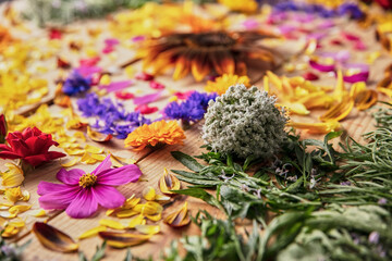 Closeup of fragrant flower buds and delicate petals arranged on rustic wooden table