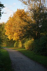 Naklejka premium Park in Heepen 2020