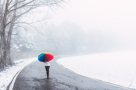 Back view of anonymous person under colorful umbrella walking along road in winter park on snowy day in Pyrenees