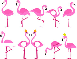 pink flamingos vector set.