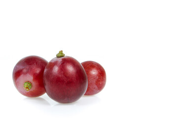 copy space red grapes isolated on white background
