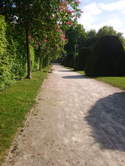 footpath in the park