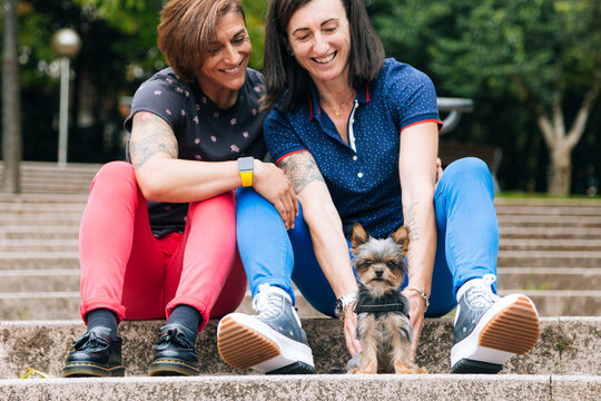 Middle Aged Lesbian Couple Enjoying Their Dog In A Park