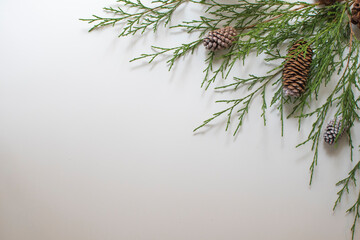 Festive Winter Foliage