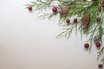 Festive Winter Foliage with Cranberries