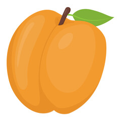
Healthy fruit rich in vitamins, an apricot

