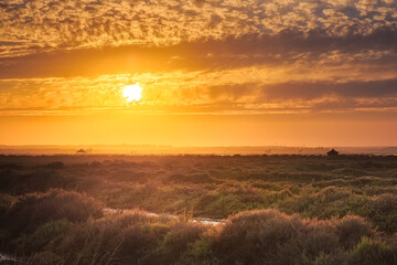 Naklejka premium sunset with cloudy sky over the marshes of Huelva, Spain.