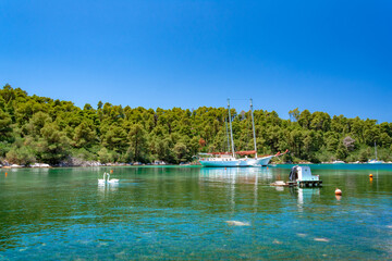 Amazing beach in the fjord blo, near famous beach of Panormos, Skopelos, Greece.