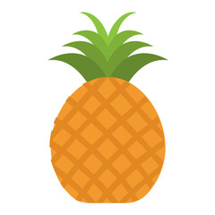 
A tropical juicy fruit pineapple
