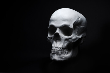 white skull on black background 