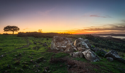 Panorámica de paisaje al atardecer con un arbol en el horizonte