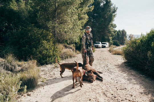 Happy proud man hunter in camouflage outfit dragging killed wild boar towards car after hunting