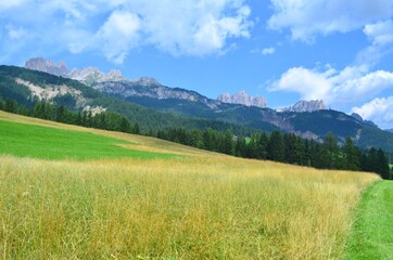 View of the Catinaccio group from the Tamion field. The Dolomites, Italy