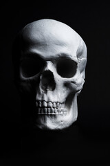 white skull on black background 