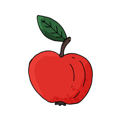 Single apple icon.  Сoncept healthy food. Hand drawn vector illustration in doodle style outline drawing isolated on white background.