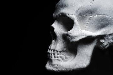 white skull on black background 