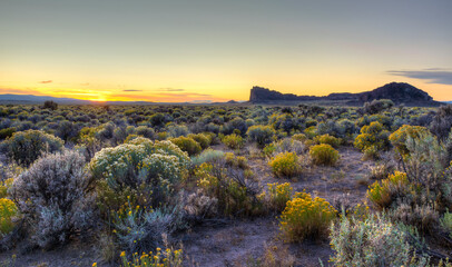 Scenic view of sagebrush and rabbitbush with Fort Rock in background during sunset