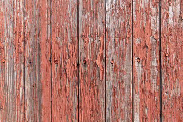 Red paint peeling off of old wooden boards on the side of a barn texture