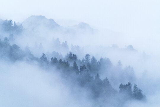 Fototapeta Scenic view of fog over Chimney Tops Trail