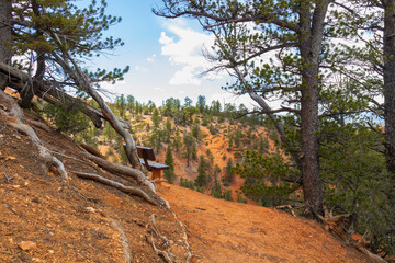 Wooden bench overlooking Red Canyon, Utah