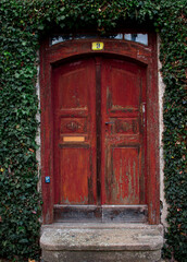 Fototapeta na wymiar red old rustic front door with ivy 