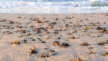 small pebbles on the golden sand of the beach under the sun