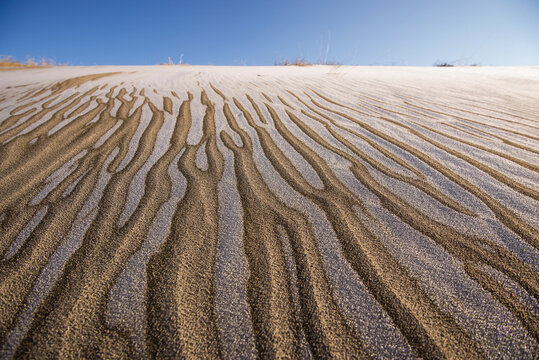 Scenic view of sand dunes in Juniper Dunes Wilderness