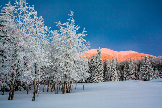 Scenic view of Humphreys Peak against sky