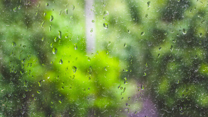 raindrops on glass, greenery blurry on background