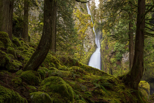 Scenic view of Wahclella Falls