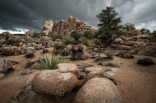 Scenic view of rock formations in Hidden Valley against stormy clouds