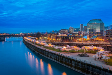 Scenic view of cherry blossom trees by river with city in background