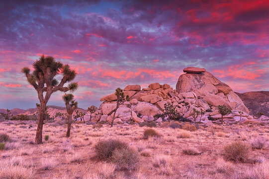 Scenic view of Cap Rock during sunset in Joshua Tree National Park