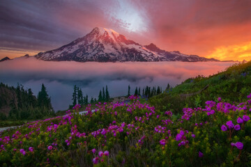 Scenic view of Mount Rainier seen from Tatoosh Wilderness during sunrise