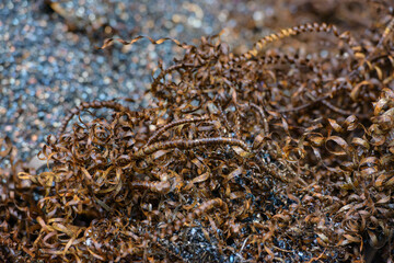 Steel scrap materials recycling. waste after machining metal parts on a cnc lathe. Closeup twisted spiral steel shavings. Small roughness sharpness