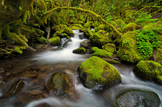 View of Mossy Grotto Falls in Columbia River Gorge