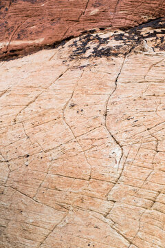 View of abstract pattern in sandstone of Calico Hills