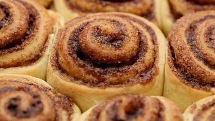 Freshly baked cinnamon rolls close up, top view