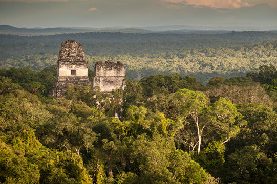 View of ruins of Tikal in rainforest in Belize