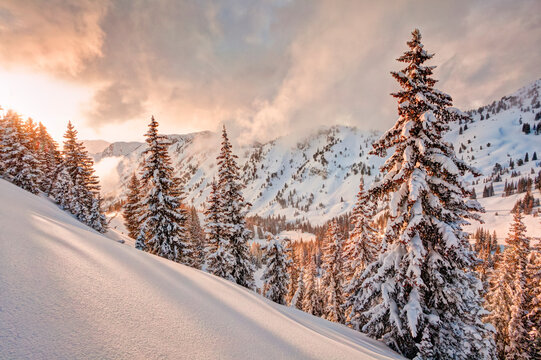 View of Wasatch Range during sunset
