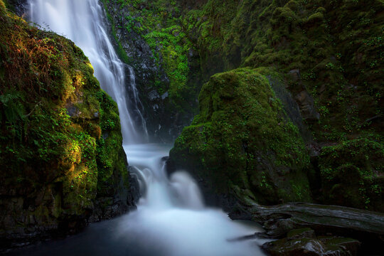 A glowing image of Susan Creek Falls surrounded by green moss in Oregon.